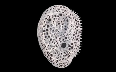 極光創(chuàng)新：科學家開發(fā)新3D打印方法使骨修復(fù)支架植入更快